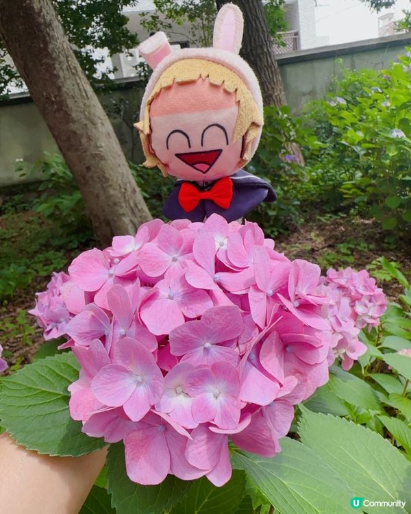 🇯🇵筥崎宮⛩️銭洗御神水              💵守護財運👛