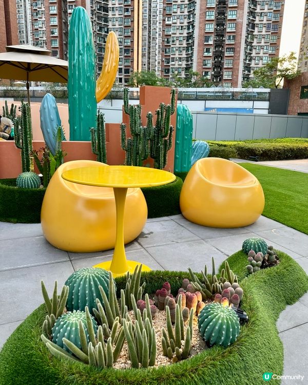 🌵沙田新城市綠洲，妍妍帶你唱遊仙人掌植物園❤️🥰