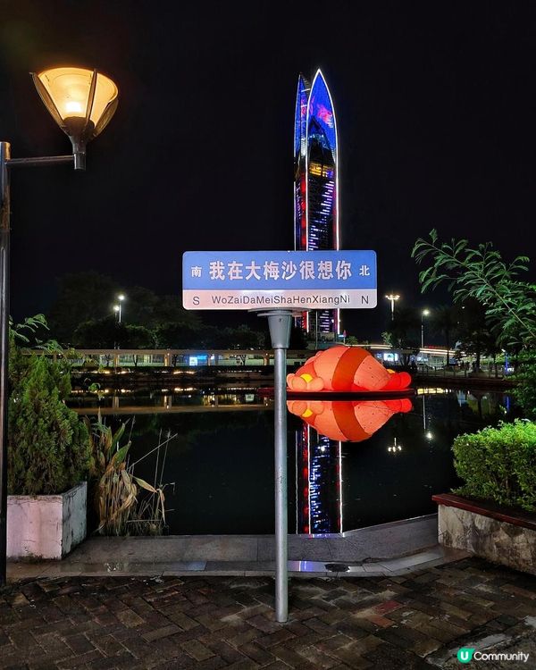 《大梅沙躺島生活節》