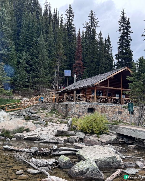 到加拿大，行山乃指定動作