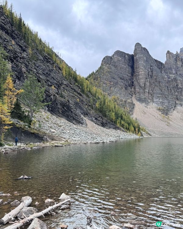 到加拿大，行山乃指定動作