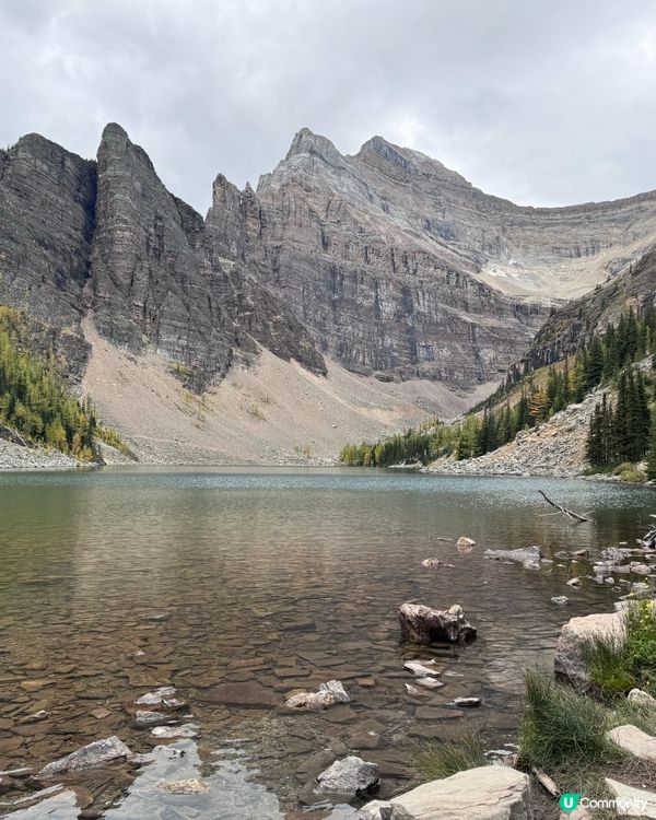 到加拿大，行山乃指定動作