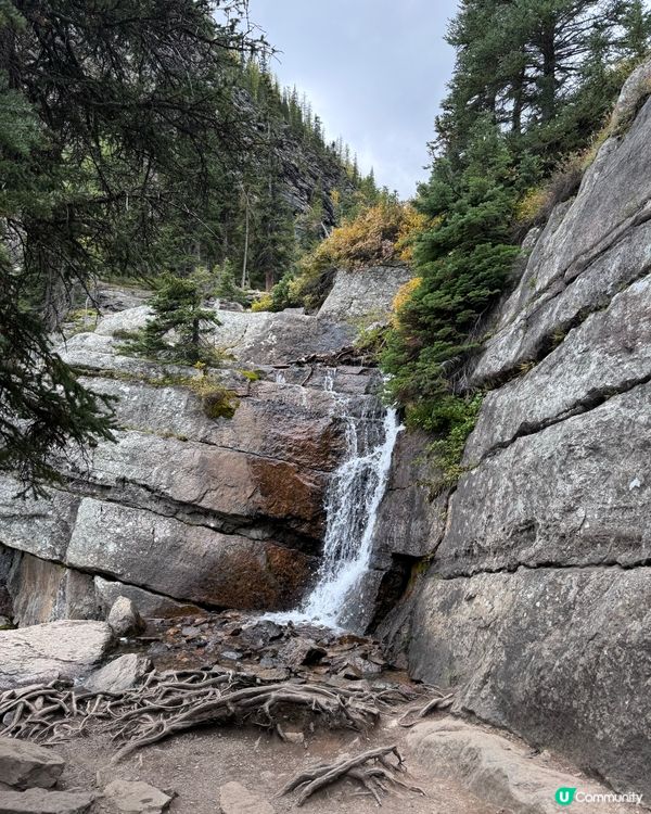 到加拿大，行山乃指定動作