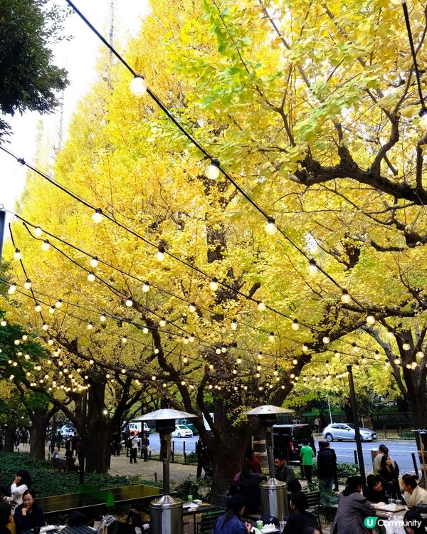 全東京最浪漫的Shake Shack 🍔🍂