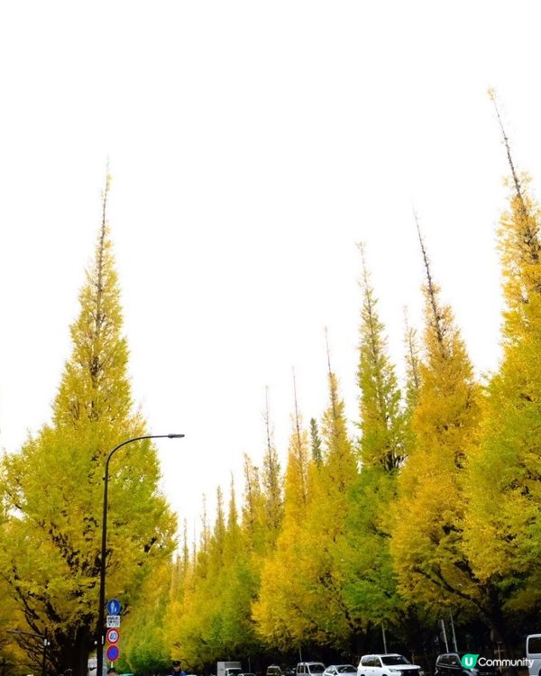 全東京最浪漫的Shake Shack 🍔🍂