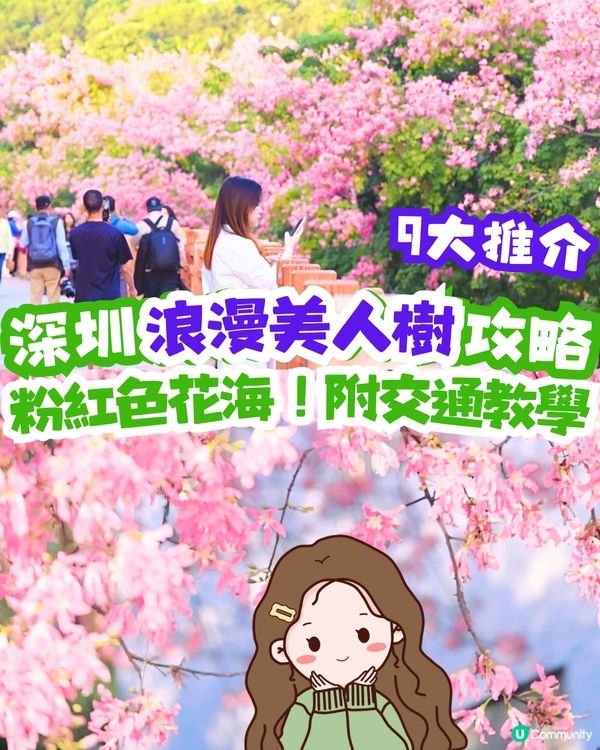 深圳浪漫美人樹攻略📸9大推介/粉紅色花海！附交通教學🚗