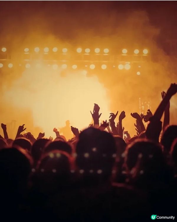 食肉祭（和牛樂園）🔥免費入場🥰經過入去嘆和牛