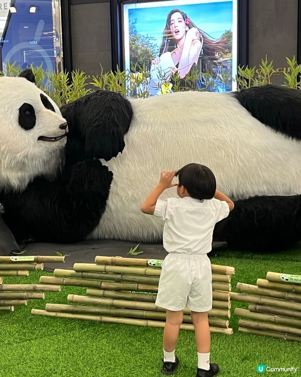 可愛嘅熊貓🐼🩷喺MOKO一齊開見面會！