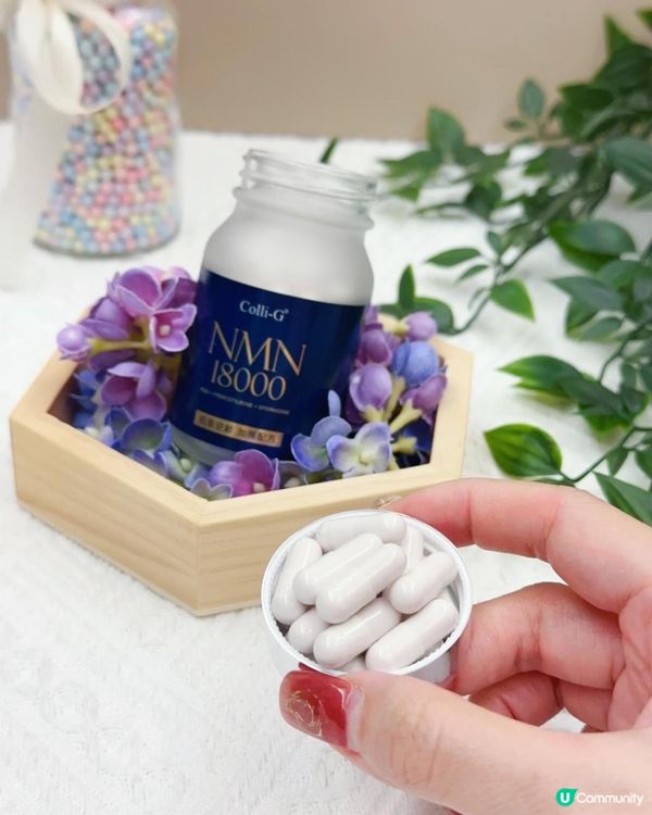 激活長壽因子 ♥ 重拾年輕體質！►Colli-G NMN18000 + PQQ