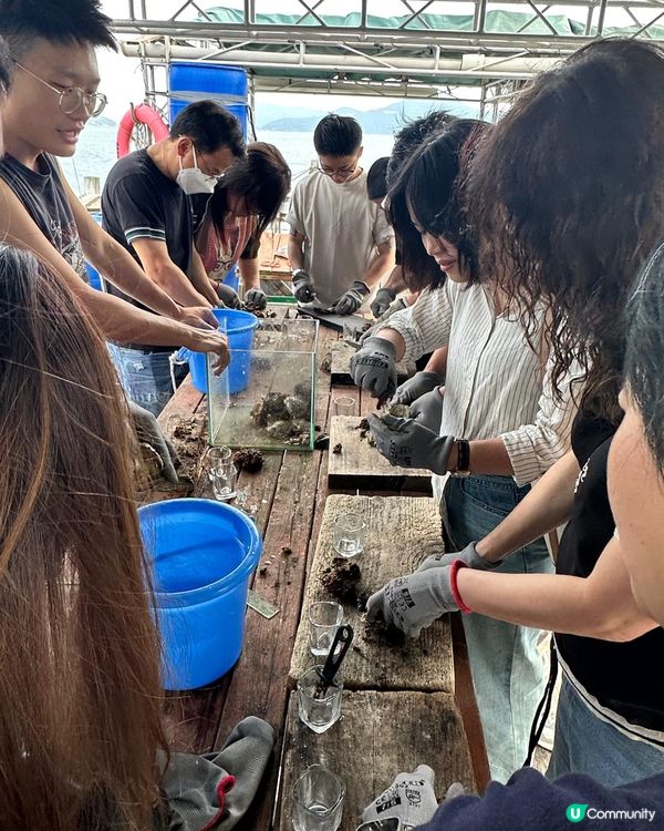 🌊 西貢尋寶！親手開蚌尋珠，打造獨一無二珍珠首飾！🤩