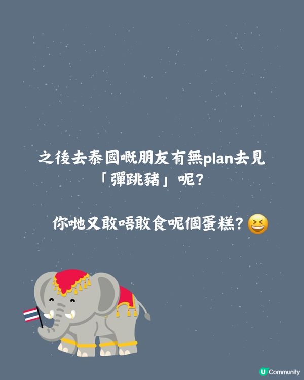 泰國cafe推出「彈跳豬」蛋糕😧網民：太逼真唔敢食🦛