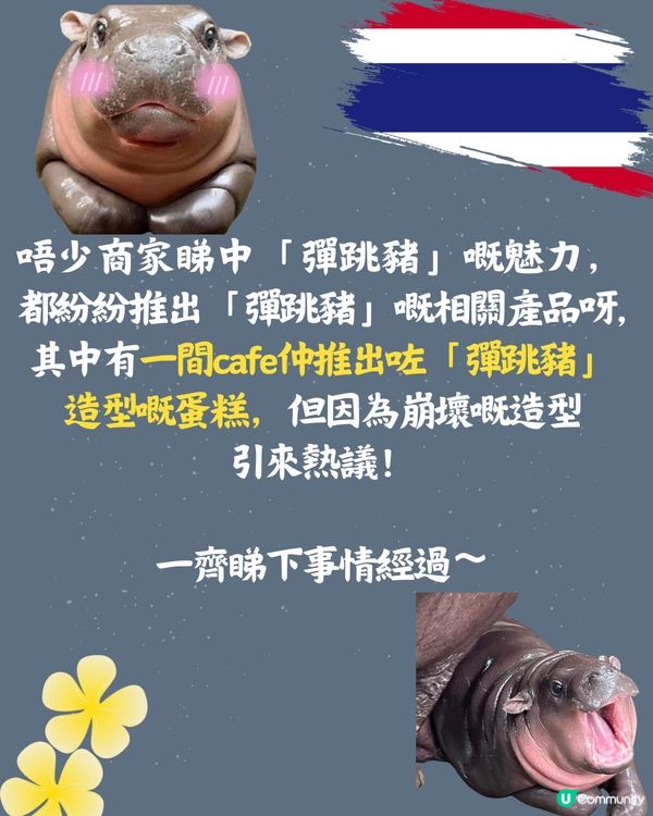 泰國cafe推出「彈跳豬」蛋糕😧網民：太逼真唔敢食🦛