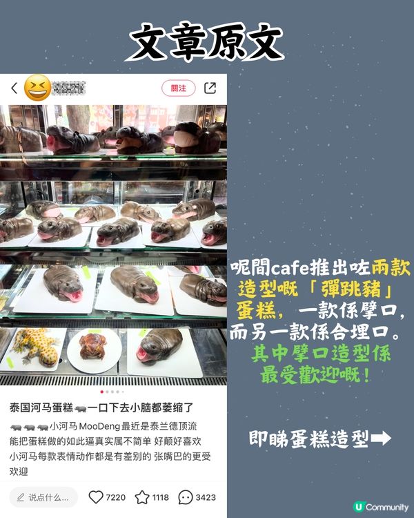 泰國cafe推出「彈跳豬」蛋糕😧網民：太逼真唔敢食🦛