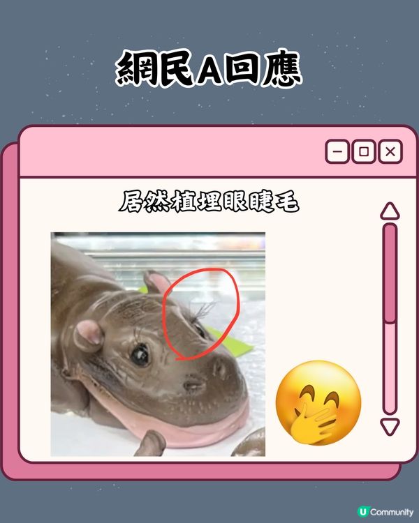 泰國cafe推出「彈跳豬」蛋糕😧網民：太逼真唔敢食🦛