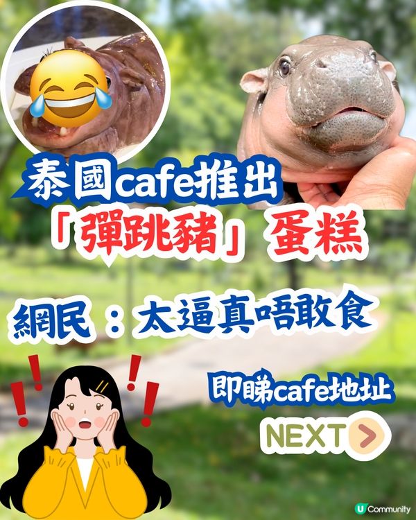 泰國cafe推出「彈跳豬」蛋糕😧網民：太逼真唔敢食🦛