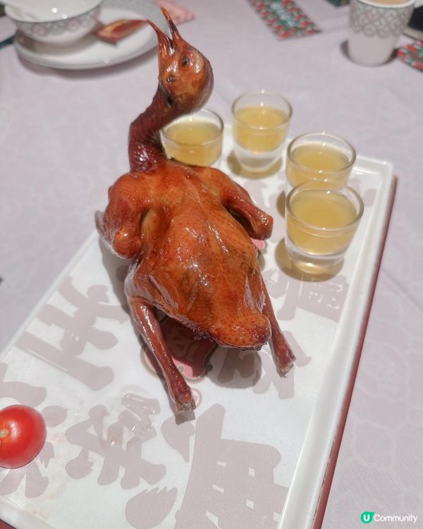 連續五年米芝蓮，人氣排隊店 - 大鴿飯 🐦🥢