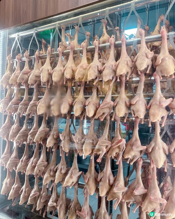 連續五年米芝蓮，人氣排隊店 - 大鴿飯 🐦🥢