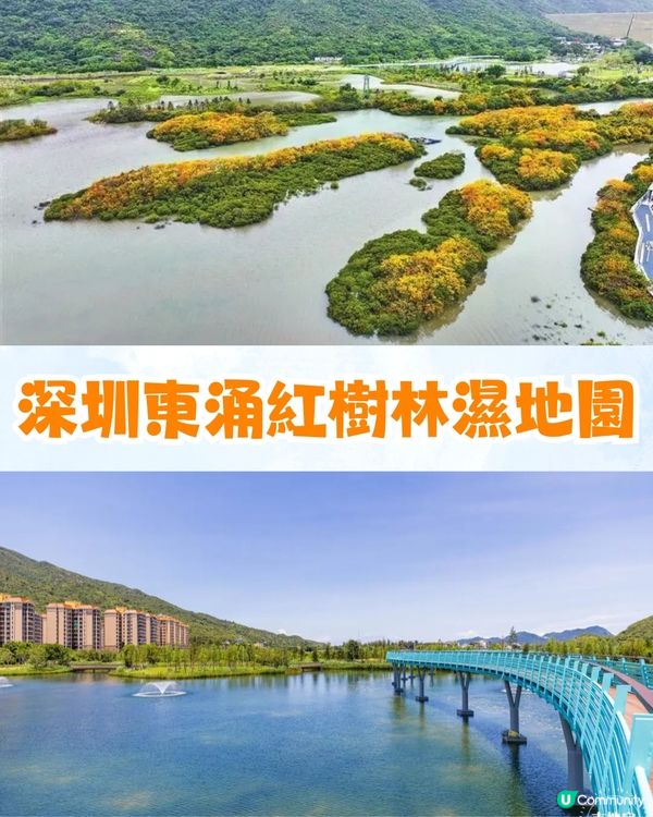 深圳大鵬絕美隱世海邊公園🌊藍色天空廊橋+濕地棧道🚗內附周邊景點及交通資訊❗