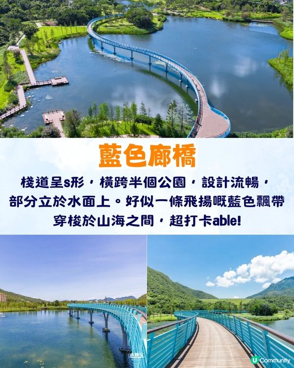 深圳大鵬絕美隱世海邊公園🌊藍色天空廊橋+濕地棧道🚗內附周邊景點及交通資訊❗