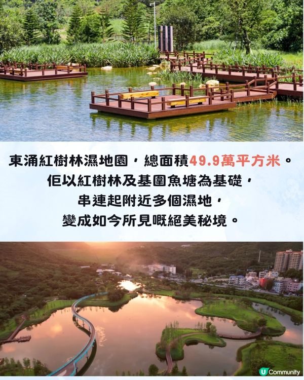 深圳大鵬絕美隱世海邊公園🌊藍色天空廊橋+濕地棧道🚗內附周邊景點及交通資訊❗