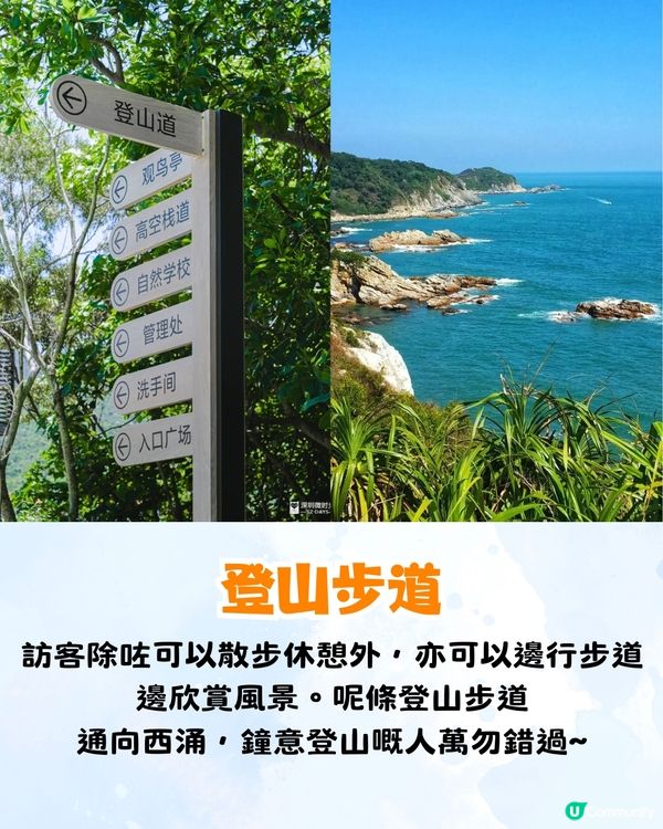 深圳大鵬絕美隱世海邊公園🌊藍色天空廊橋+濕地棧道🚗內附周邊景點及交通資訊❗