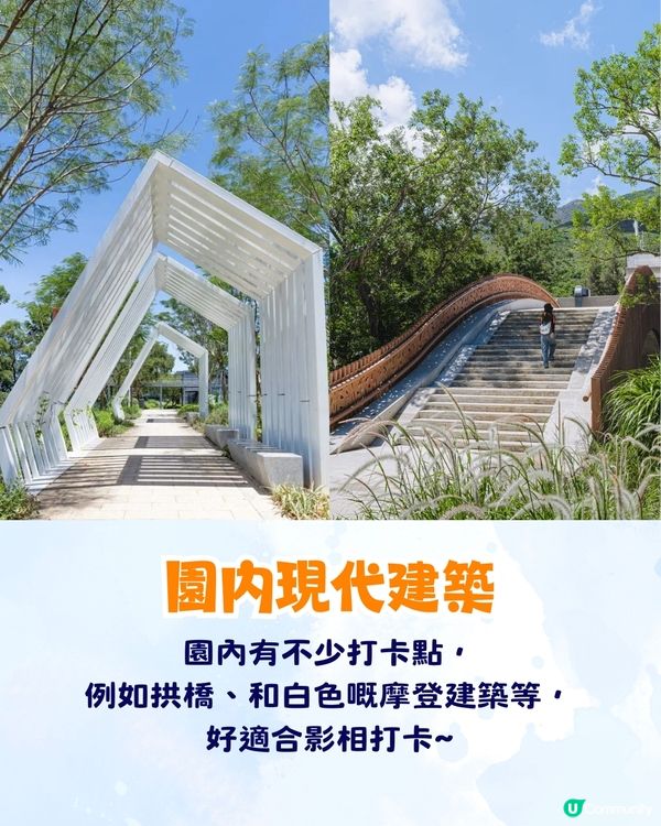 深圳大鵬絕美隱世海邊公園🌊藍色天空廊橋+濕地棧道🚗內附周邊景點及交通資訊❗