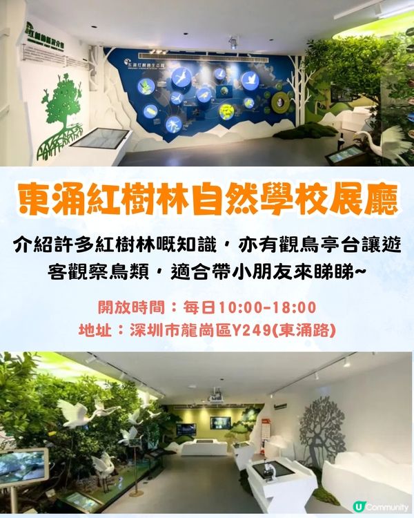 深圳大鵬絕美隱世海邊公園🌊藍色天空廊橋+濕地棧道🚗內附周邊景點及交通資訊❗