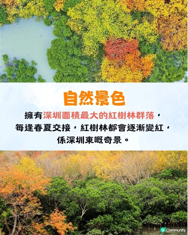 深圳大鵬絕美隱世海邊公園🌊藍色天空廊橋+濕地棧道🚗內附周邊景點及交通資訊❗