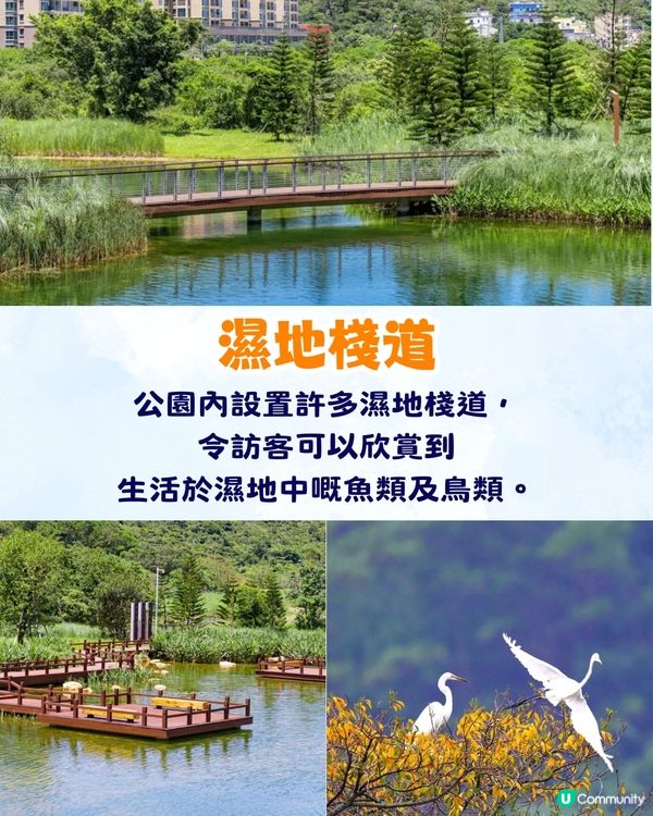 深圳大鵬絕美隱世海邊公園🌊藍色天空廊橋+濕地棧道🚗內附周邊景點及交通資訊❗