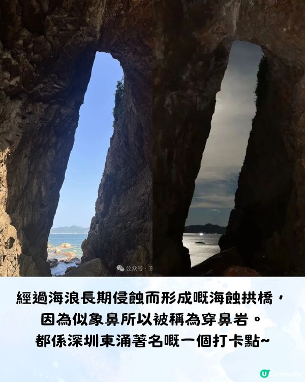 深圳大鵬絕美隱世海邊公園🌊藍色天空廊橋+濕地棧道🚗內附周邊景點及交通資訊❗