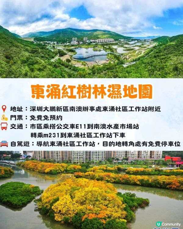 深圳大鵬絕美隱世海邊公園🌊藍色天空廊橋+濕地棧道🚗內附周邊景點及交通資訊❗