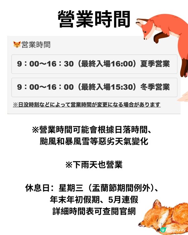 日本宮城藏王狐狸村🦊超詳細介紹+交通建議🚗過百隻放養仲可以抱抱😍⁉️