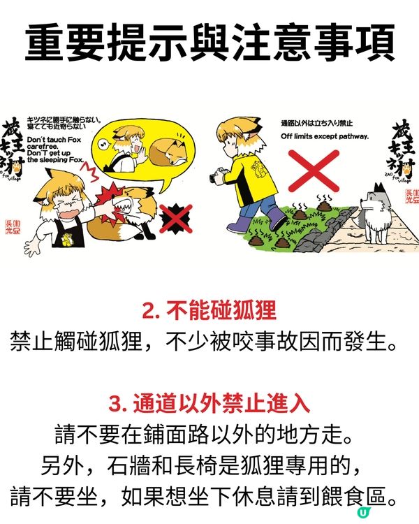 日本宮城藏王狐狸村🦊超詳細介紹+交通建議🚗過百隻放養仲可以抱抱😍⁉️