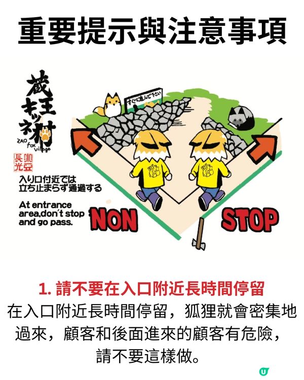 日本宮城藏王狐狸村🦊超詳細介紹+交通建議🚗過百隻放養仲可以抱抱😍⁉️