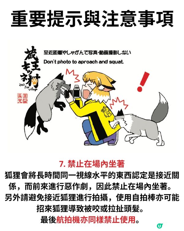 日本宮城藏王狐狸村🦊超詳細介紹+交通建議🚗過百隻放養仲可以抱抱😍⁉️