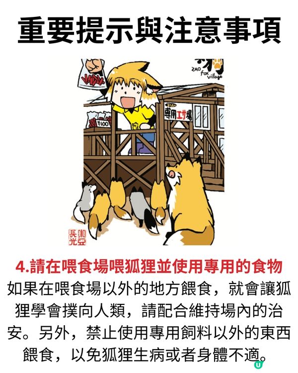日本宮城藏王狐狸村🦊超詳細介紹+交通建議🚗過百隻放養仲可以抱抱😍⁉️