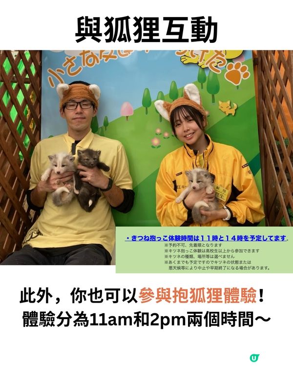 日本宮城藏王狐狸村🦊超詳細介紹+交通建議🚗過百隻放養仲可以抱抱😍⁉️