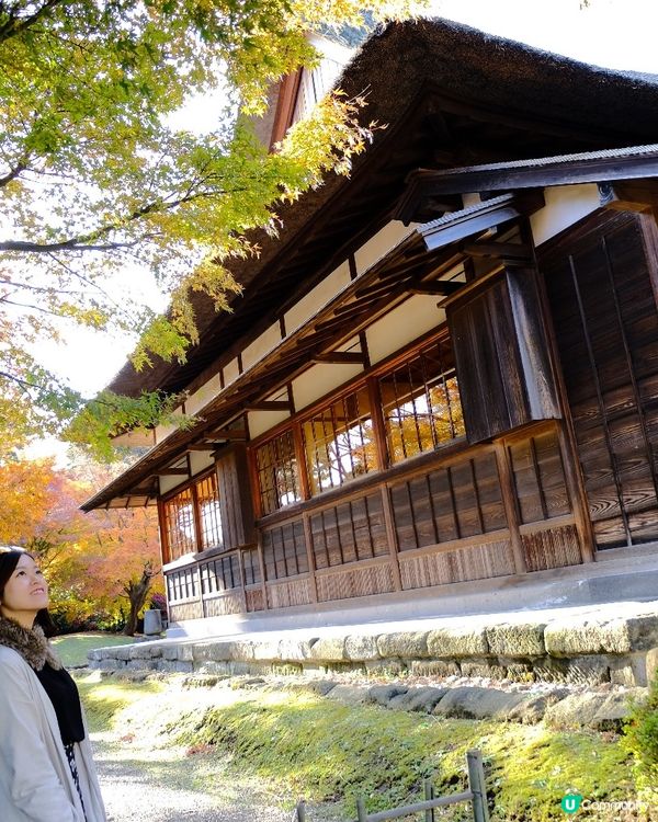 橫濱賞楓🍁三溪園🏯