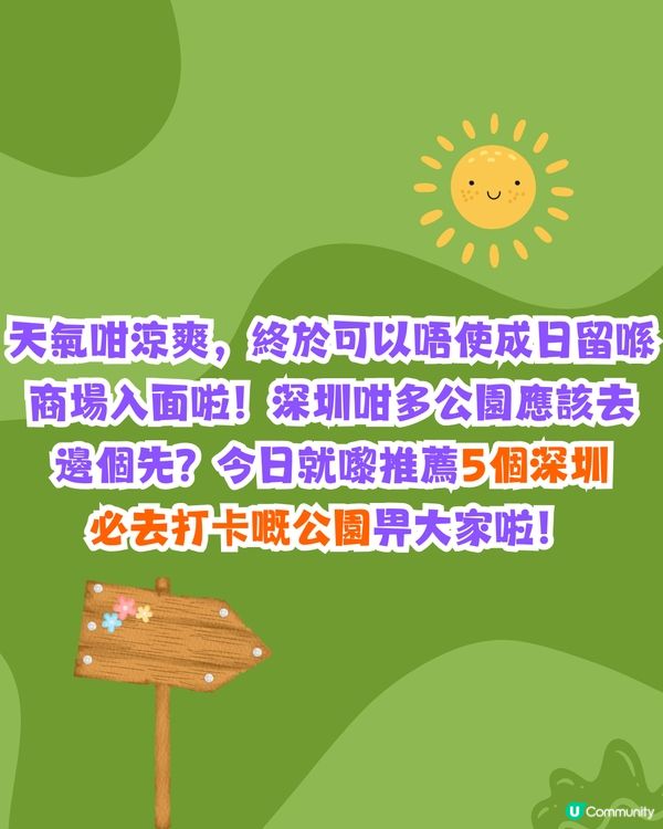 深圳必去打卡公園5大推介🌲2千米落羽杉林/ 四季賞花靚景‼️