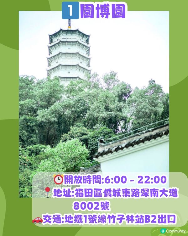 深圳必去打卡公園5大推介🌲2千米落羽杉林/ 四季賞花靚景‼️