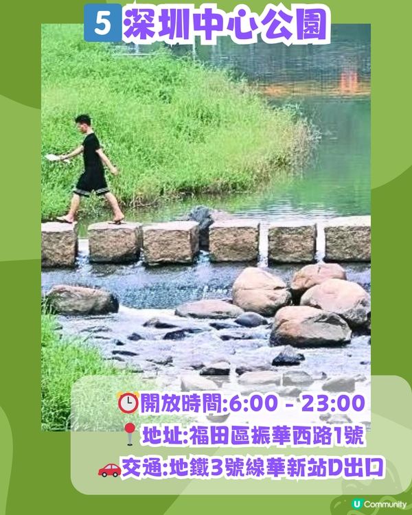 深圳必去打卡公園5大推介🌲2千米落羽杉林/ 四季賞花靚景‼️