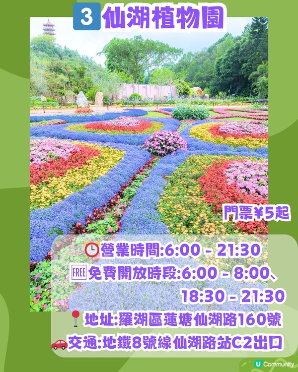 深圳必去打卡公園5大推介🌲2千米落羽杉林/ 四季賞花靚景‼️