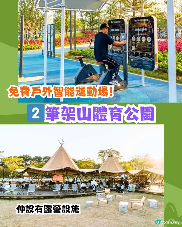 深圳必去打卡公園5大推介🌲2千米落羽杉林/ 四季賞花靚景‼️