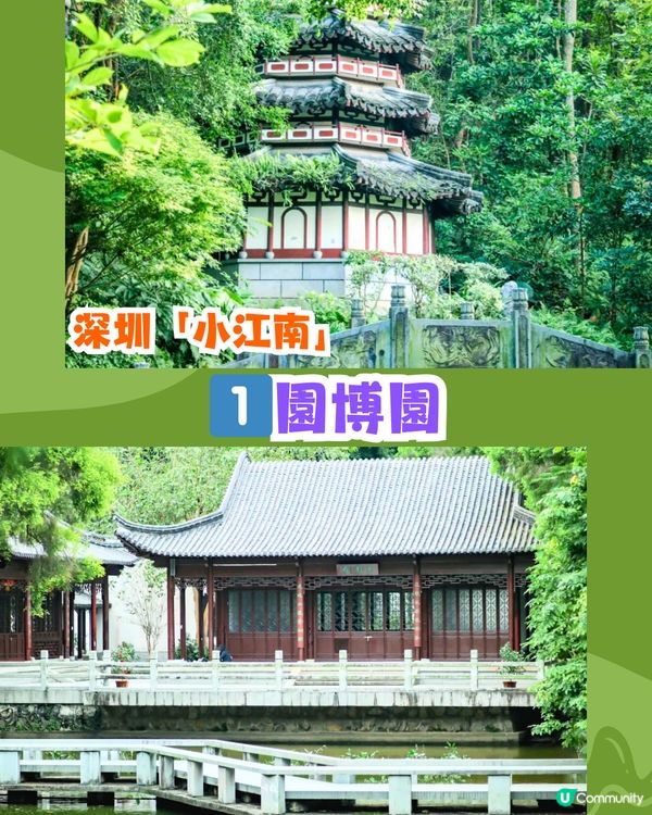 深圳必去打卡公園5大推介🌲2千米落羽杉林/ 四季賞花靚景‼️