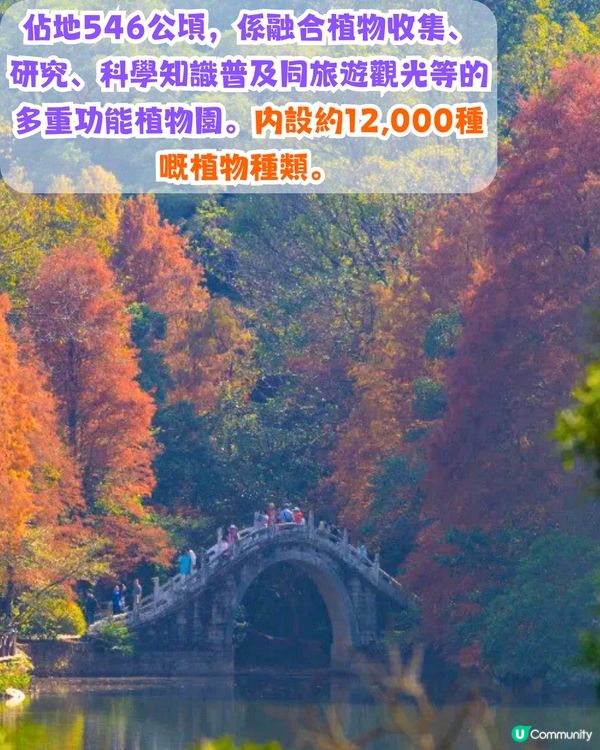 深圳必去打卡公園5大推介🌲2千米落羽杉林/ 四季賞花靚景‼️