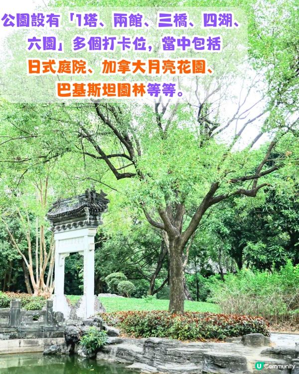 深圳必去打卡公園5大推介🌲2千米落羽杉林/ 四季賞花靚景‼️