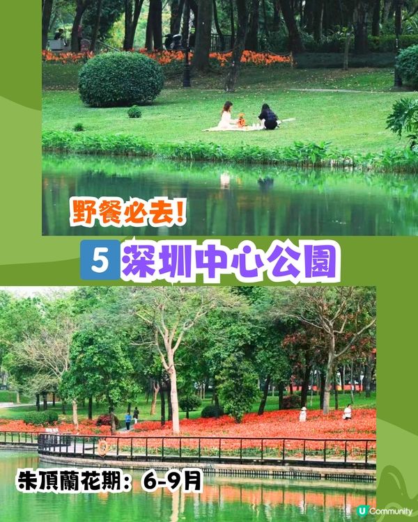 深圳必去打卡公園5大推介🌲2千米落羽杉林/ 四季賞花靚景‼️