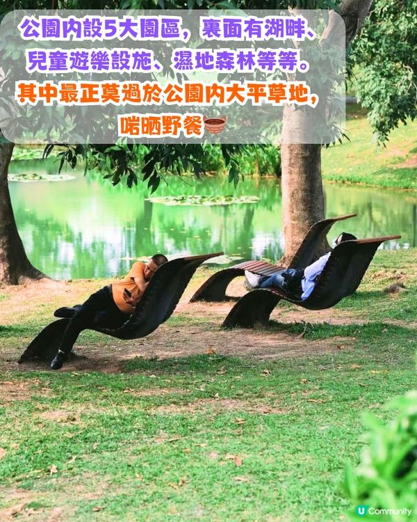 深圳必去打卡公園5大推介🌲2千米落羽杉林/ 四季賞花靚景‼️