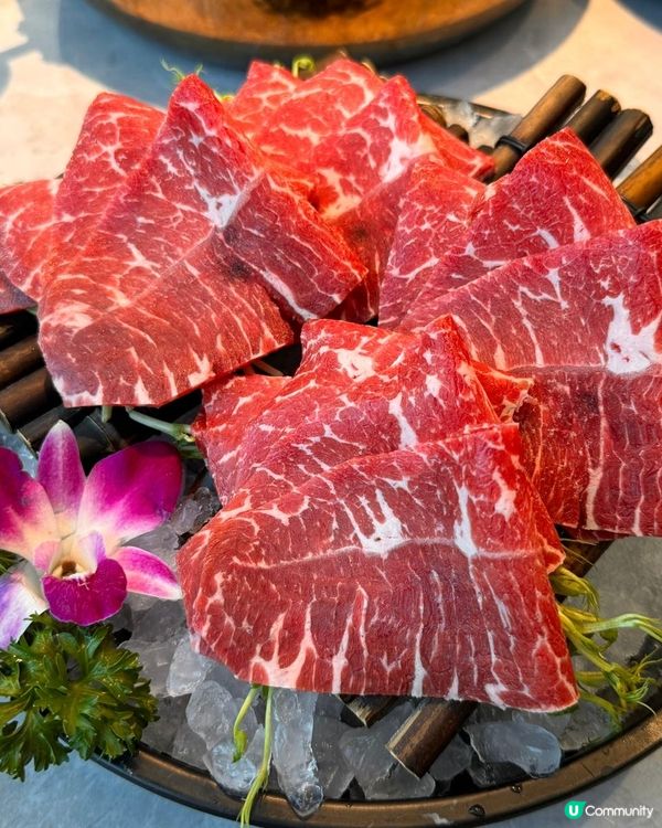 泰國特色Shabu Shabu 🌶️冬陰功🥥椰子雞湯底👍