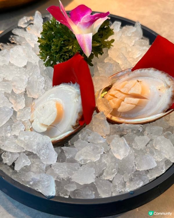 泰國特色Shabu Shabu 🌶️冬陰功🥥椰子雞湯底👍